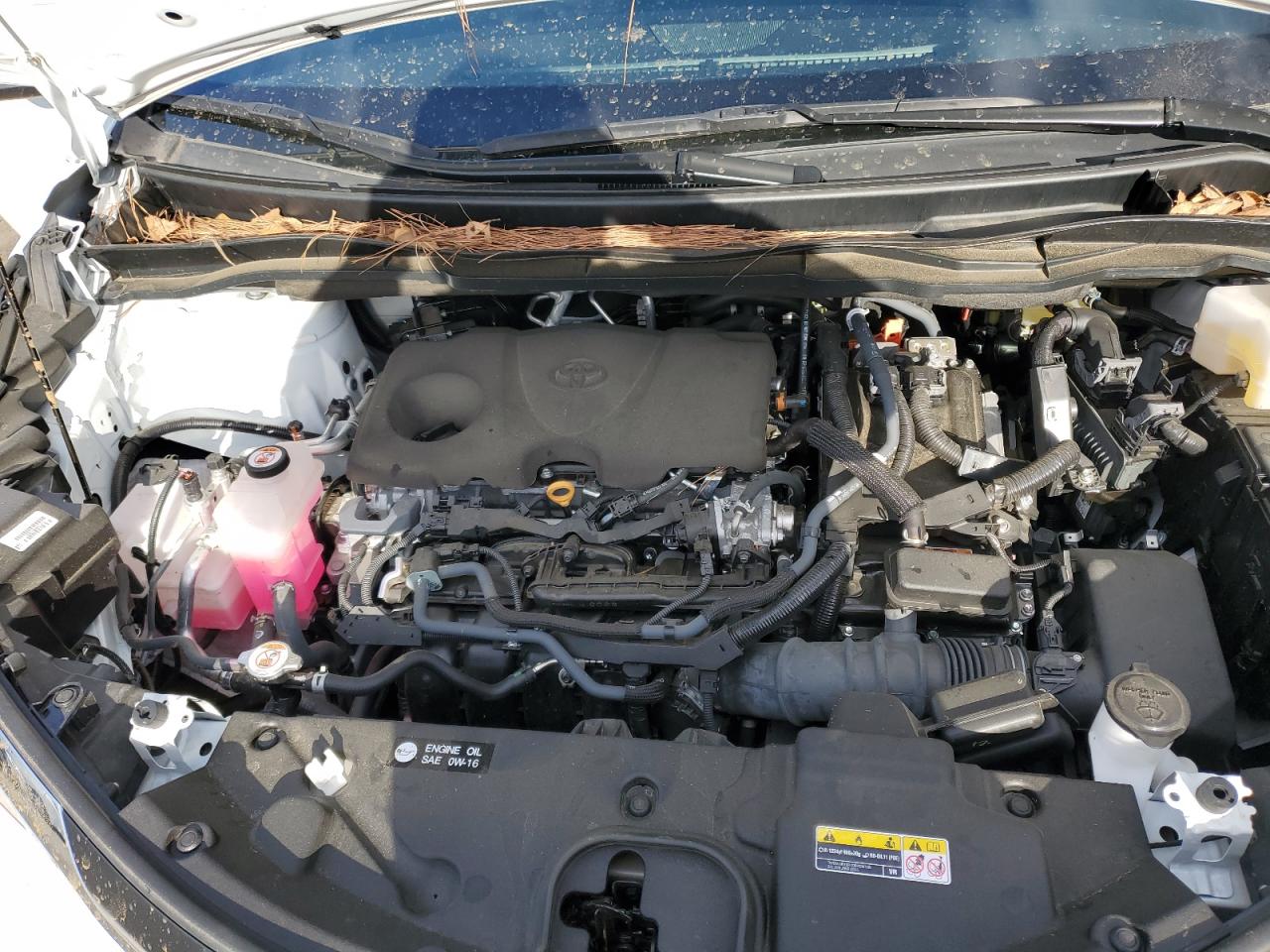 2022 TOYOTA SIENNA XLE VIN:5TDYRKEC4NS131136