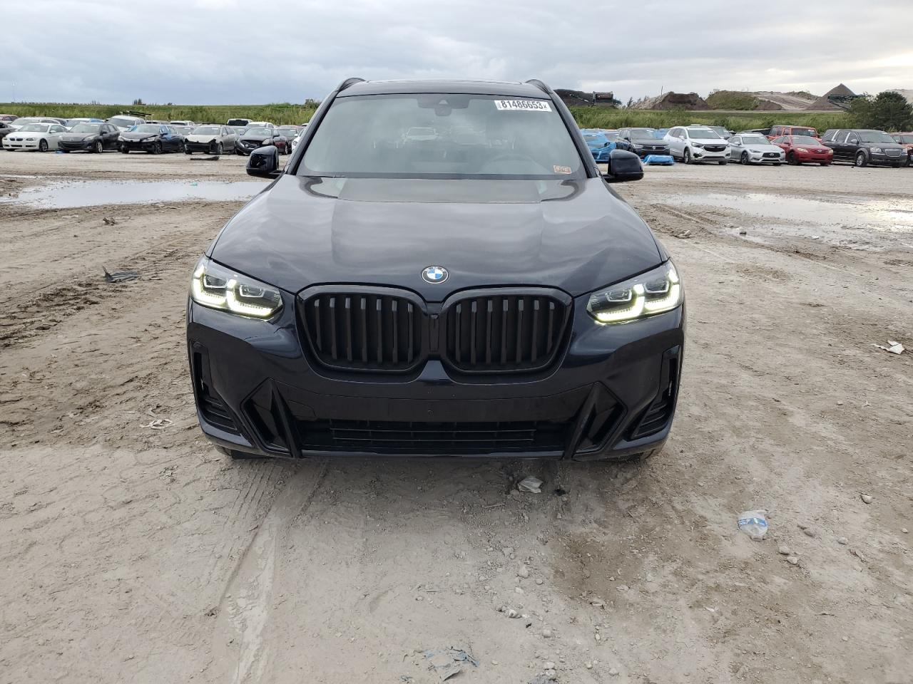 2023 BMW X3 SDRIVE30I VIN:5UX43DP0XP9T05841