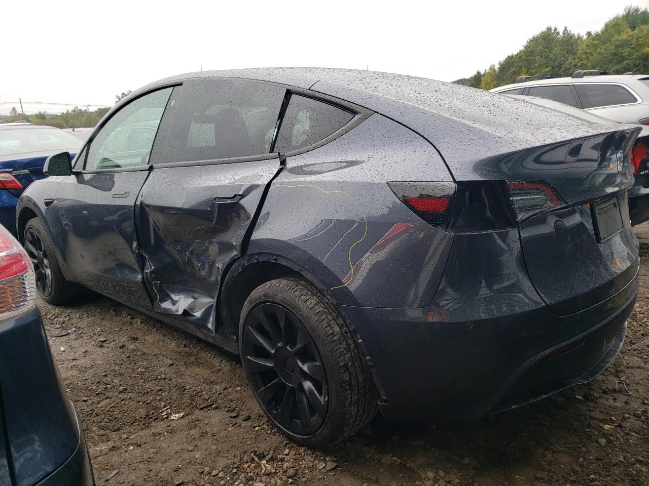 2023 TESLA MODEL Y  VIN:7SAYGDEE3PA029434