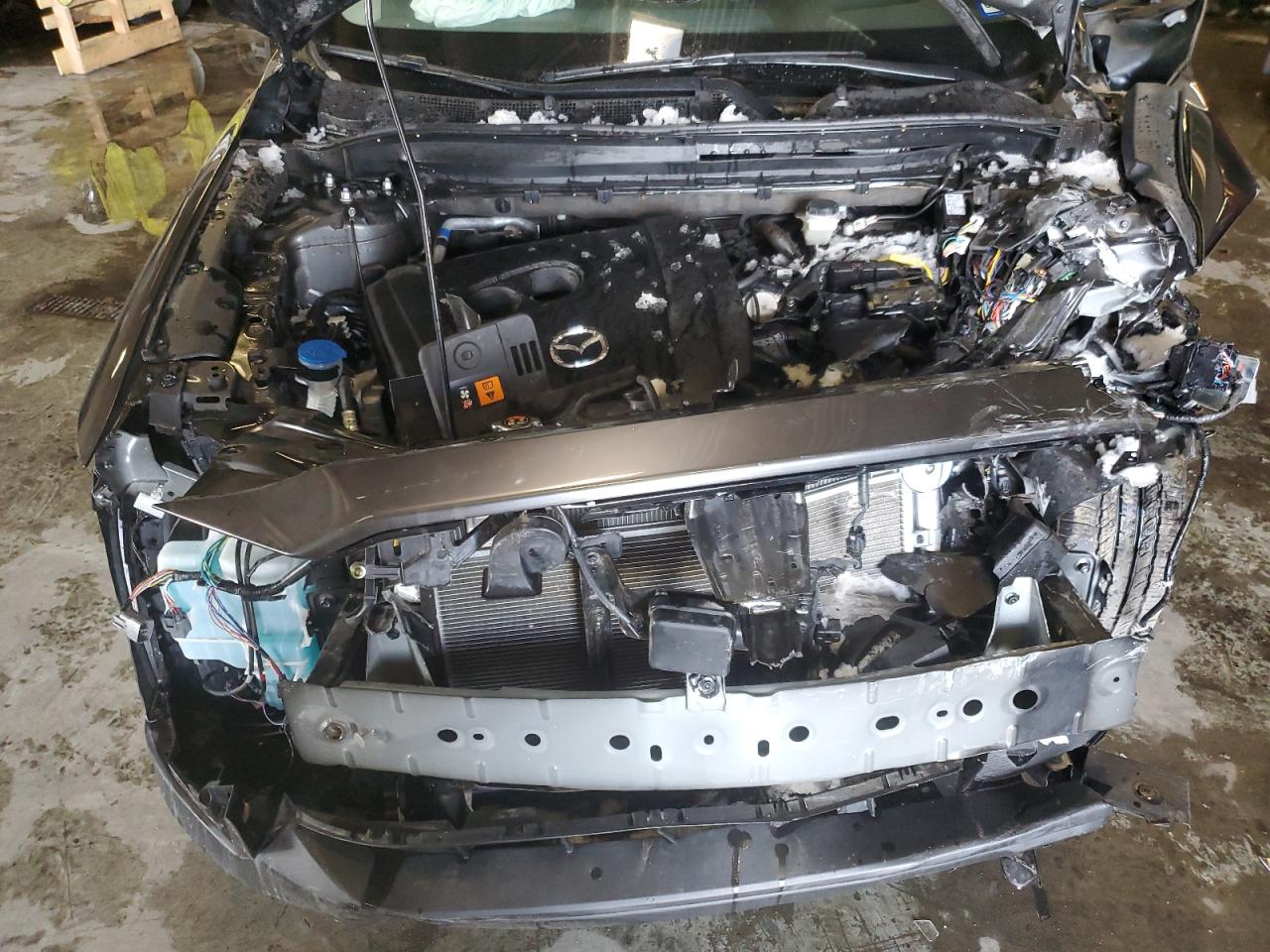 2023 MAZDA CX-5 PREMIUM PLUS VIN:JM3KFBEM1P0129980