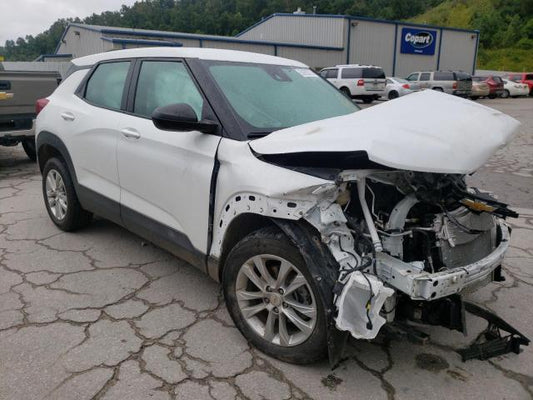 2021 CHEVROLET TRAILBLAZER LS VIN: KL79MMS26MB094541