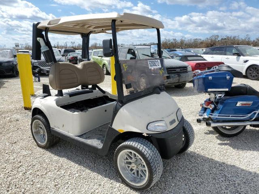 2021 OTHER GOLFCART VIN: 560499*