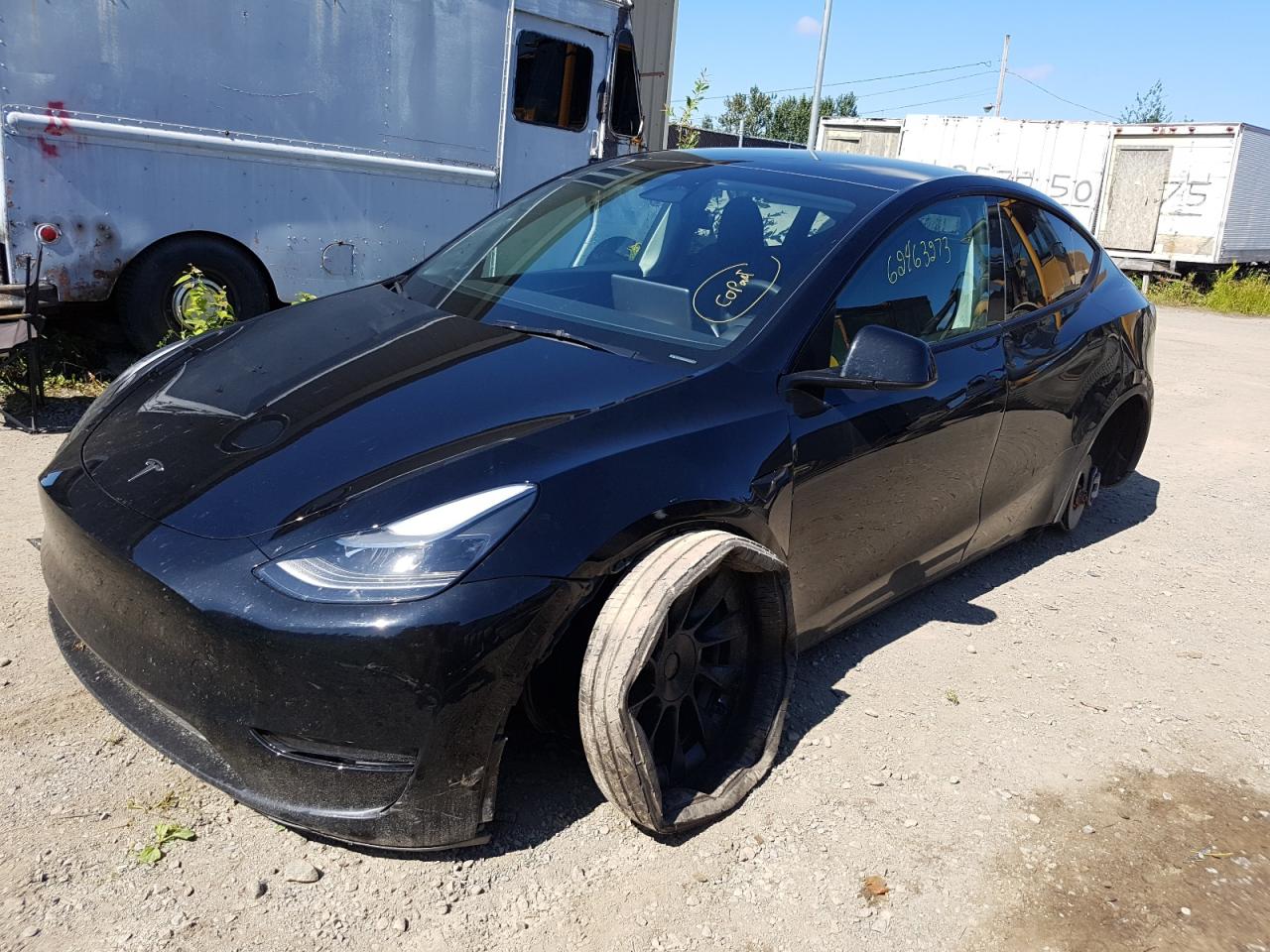 2023 TESLA MODEL Y  VIN:7SAYGDEEXPF693135