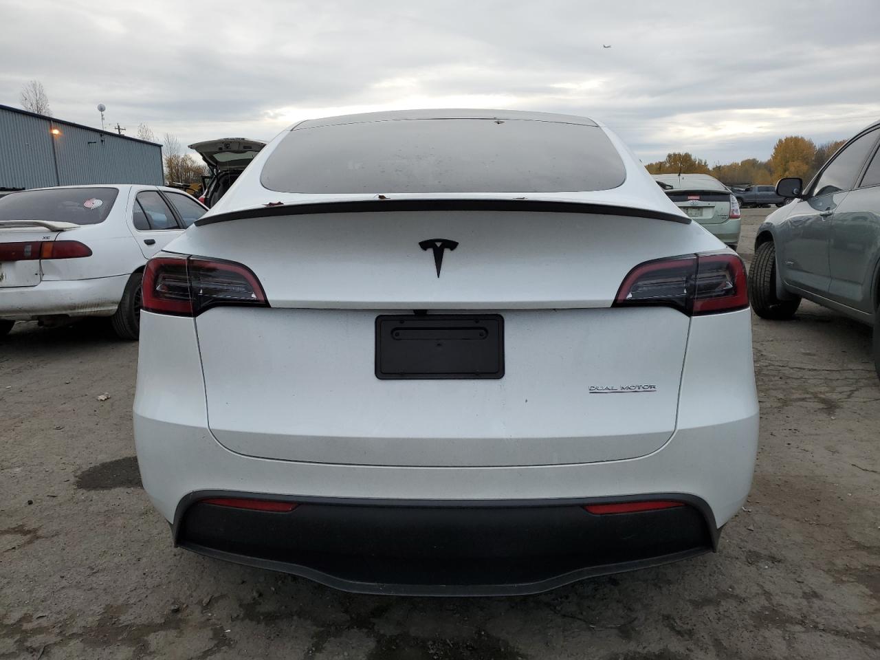 2023 TESLA MODEL Y  VIN:7SAYGDEF8PF812731