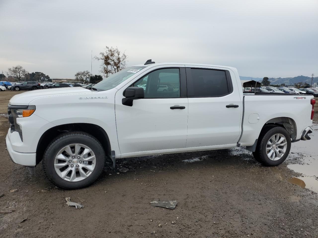 2022 CHEVROLET SILVERADO K1500 CUSTOM VIN:1GCPDBEK3NZ607487
