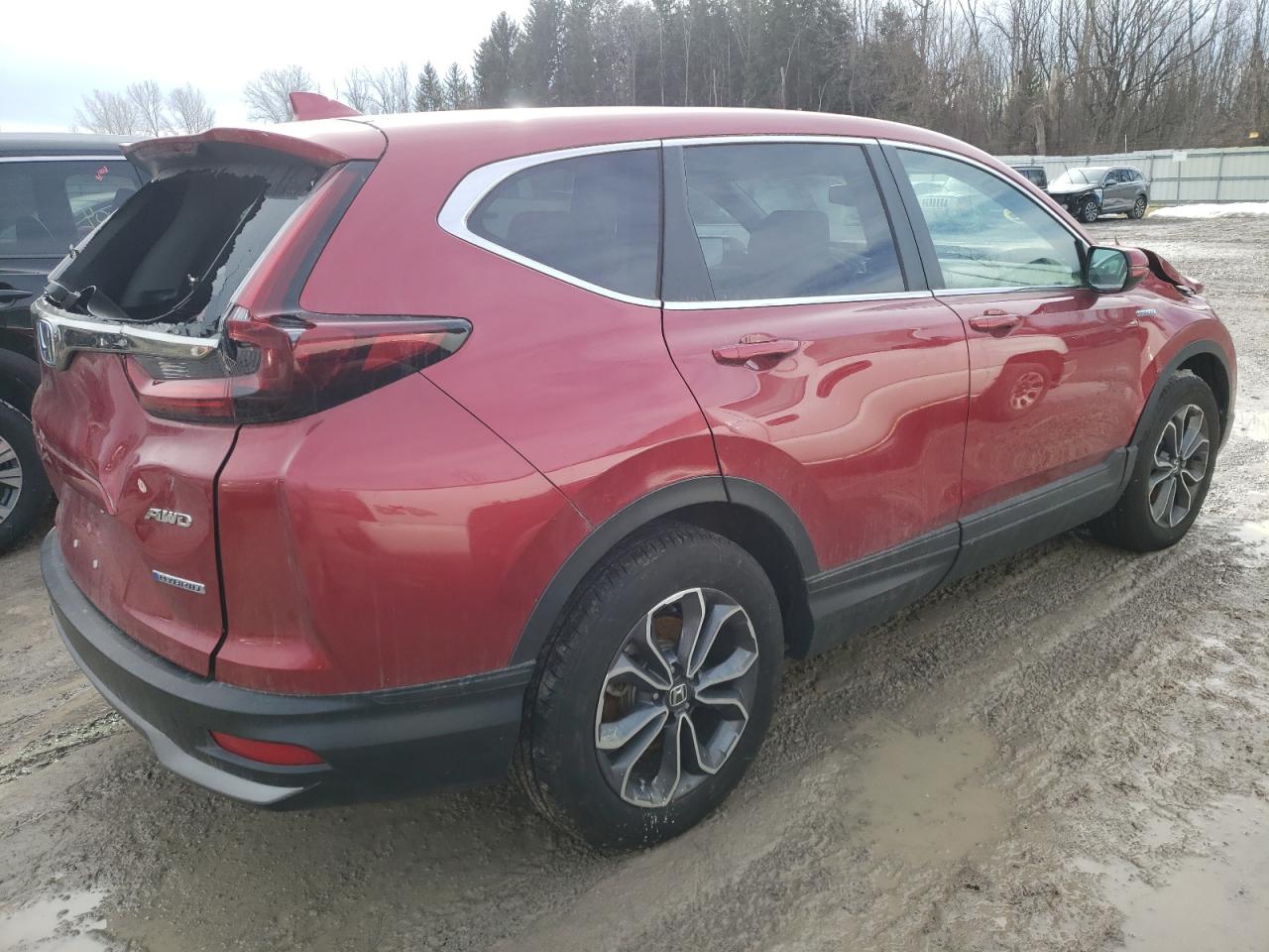 2022 HONDA CR-V EXL VIN:5J6RT6H87NL050146