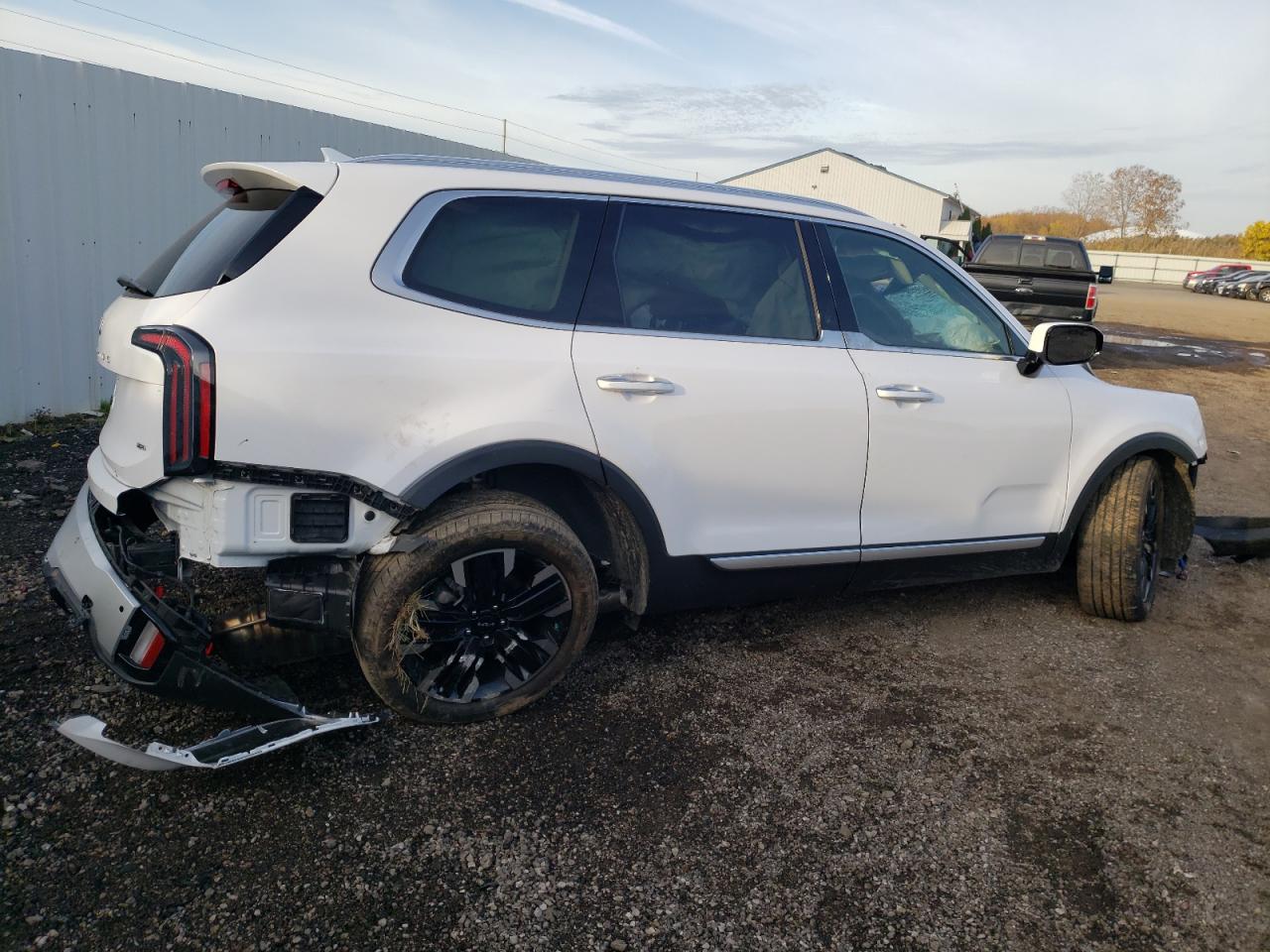 2024 KIA TELLURIDE SX VIN:5XYP5DGC0RG419383