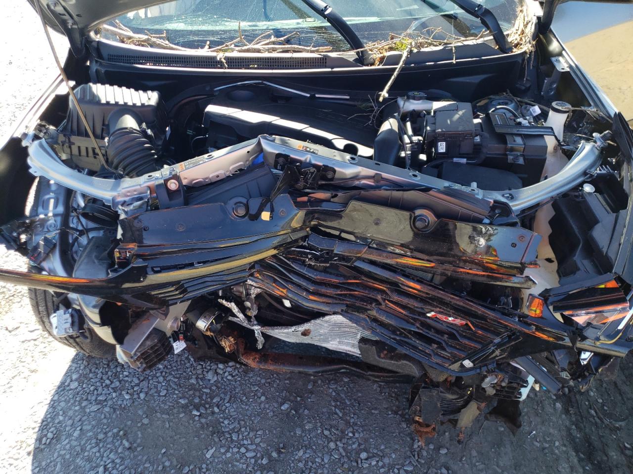 2024 CHEVROLET EQUINOX RS VIN:3GNAXMEGXRS116638