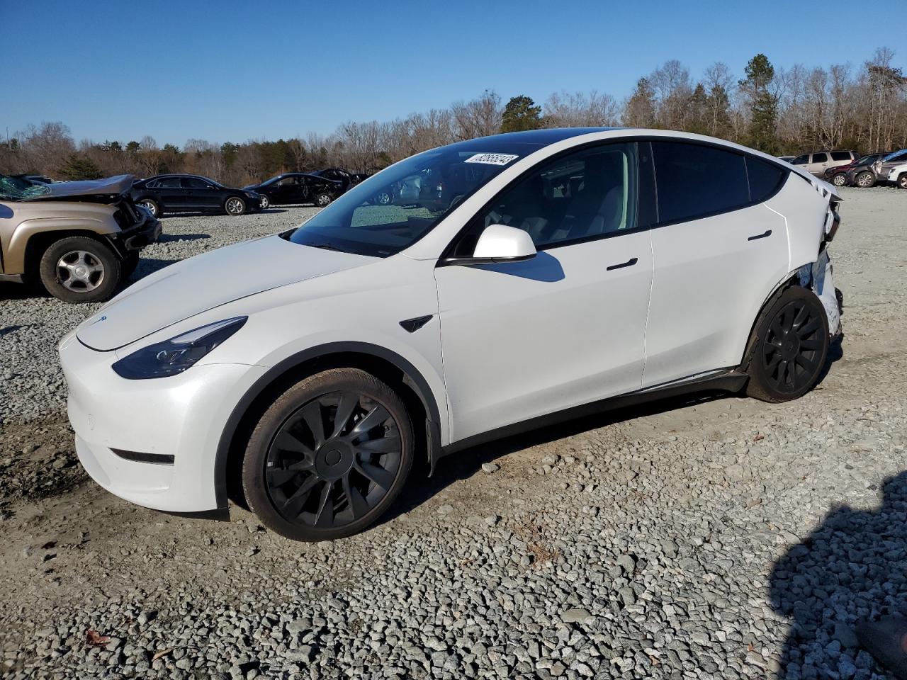 2023 TESLA MODEL Y  VIN:7SAYGDEE4PF675973