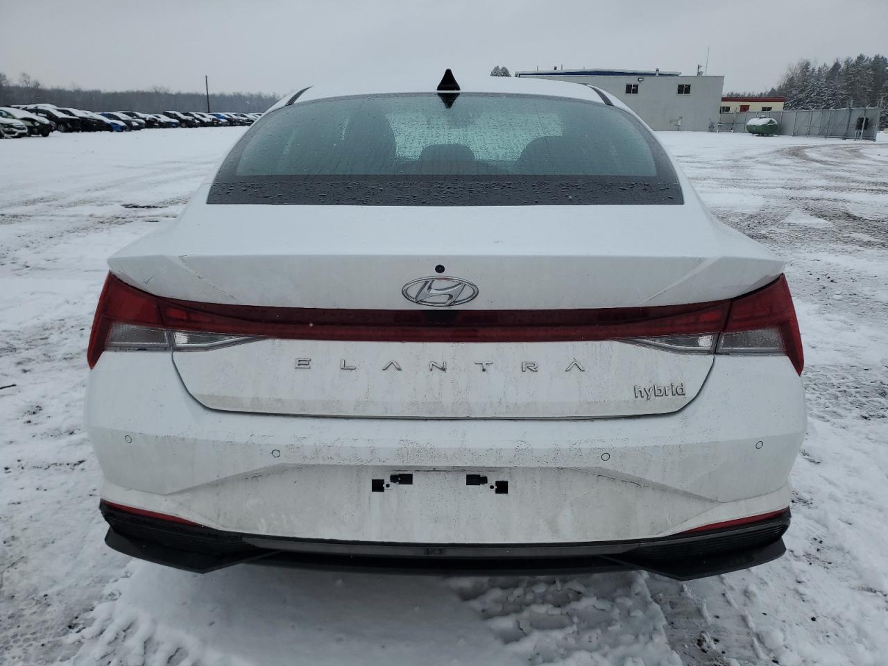 2023 HYUNDAI ELANTRA LIMITED VIN:KMHLN4AJ3PU053013
