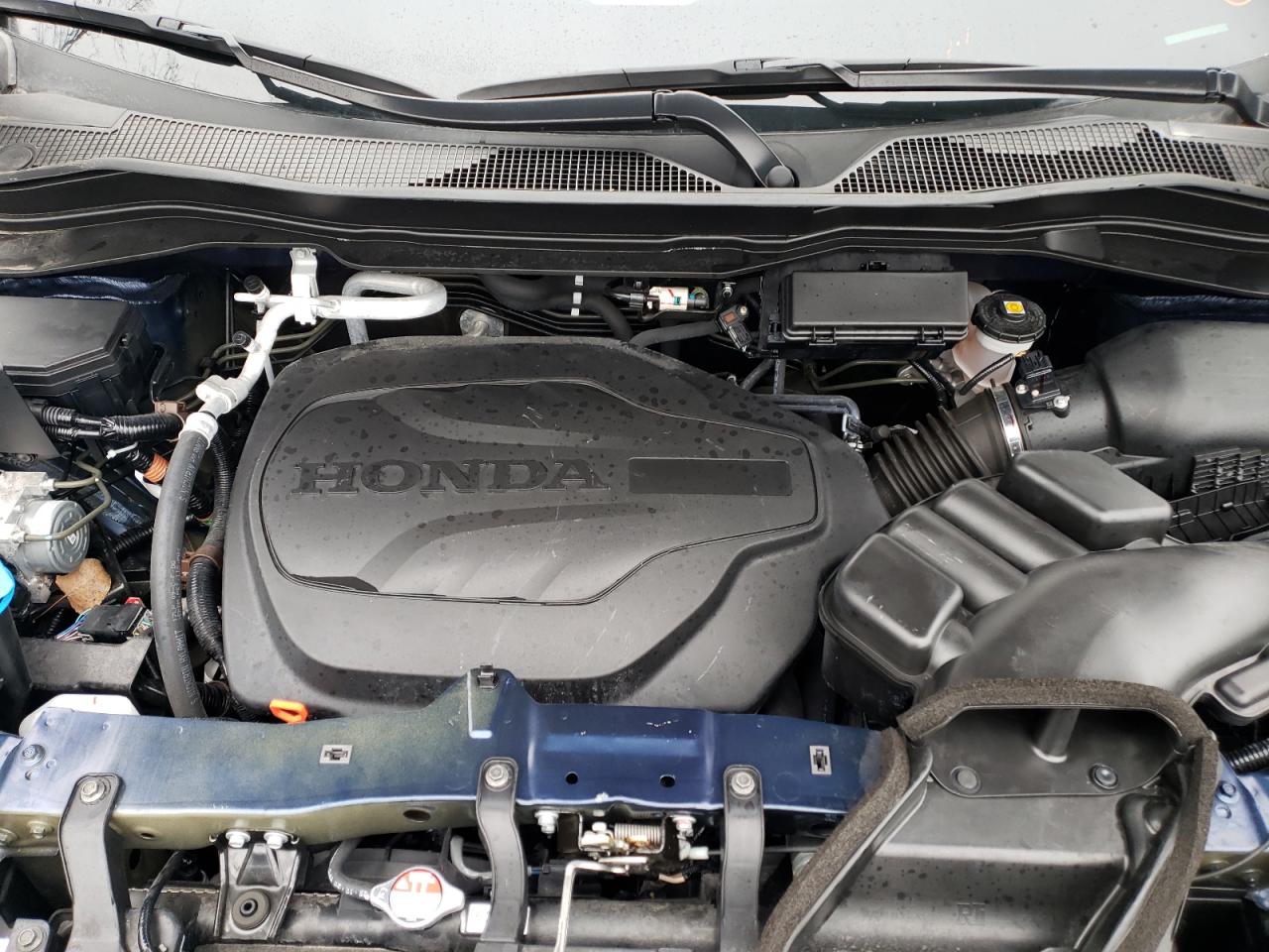 2023 HONDA PASSPORT ELITE VIN:5FNYF8H09PB004712