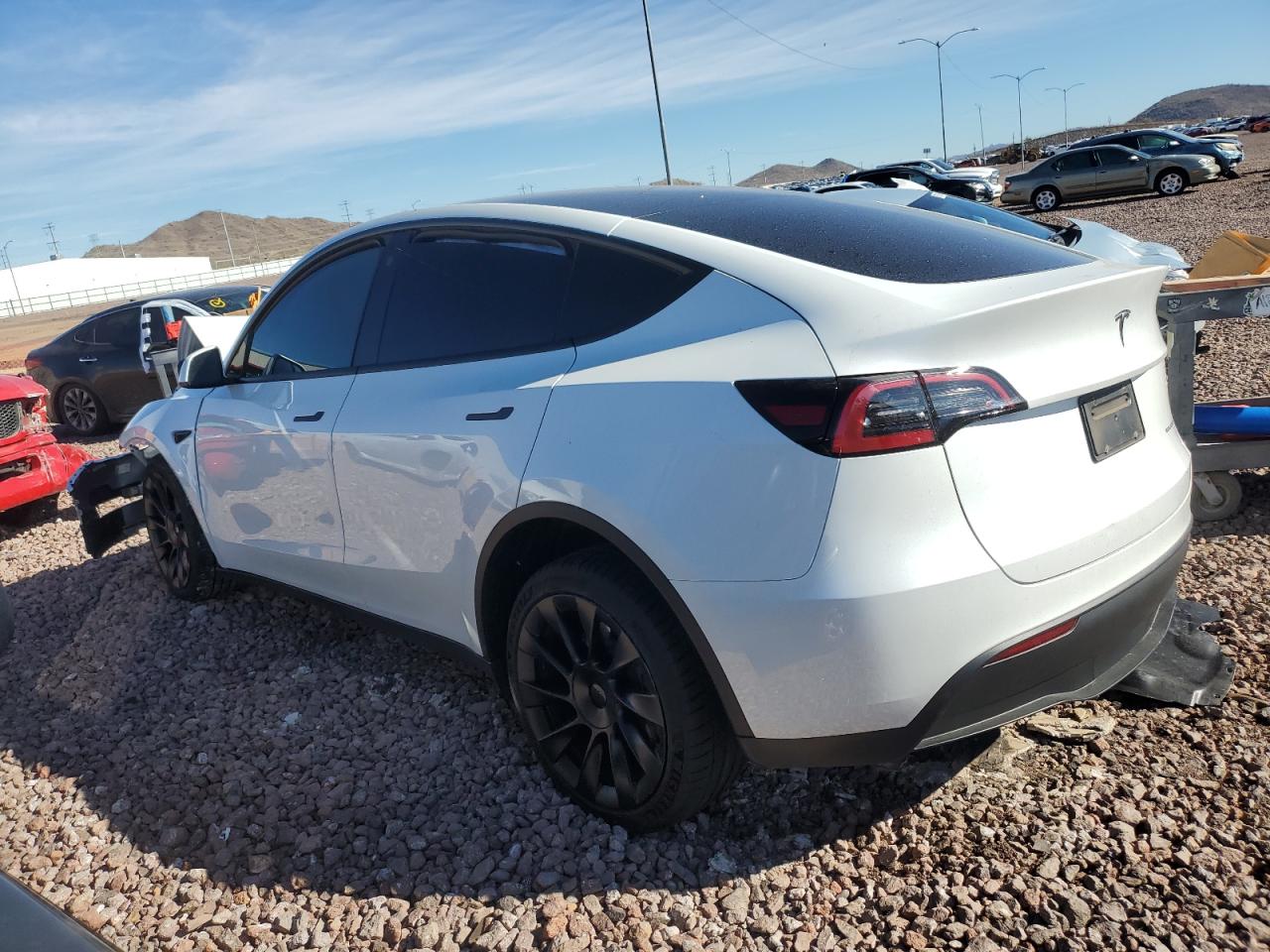 2023 TESLA MODEL Y  VIN:7SAYGDEE4PF625672