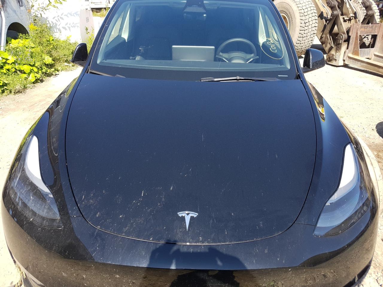 2023 TESLA MODEL Y  VIN:7SAYGDEEXPF693135