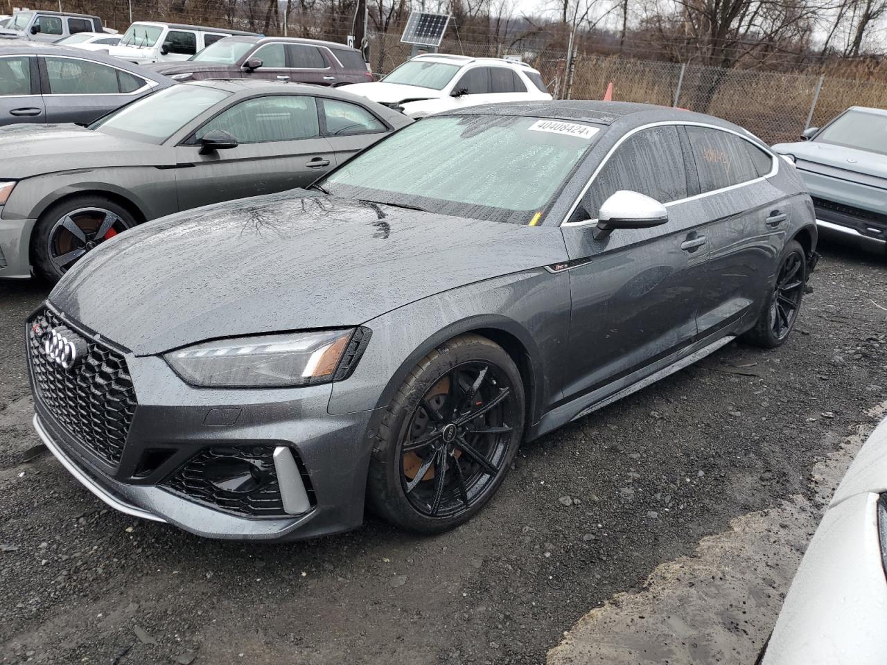 2023 AUDI RS5  VIN:WUAAWDF53PA900542