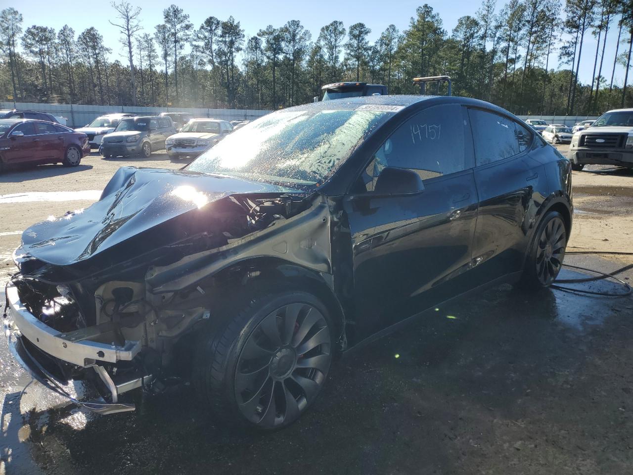 2023 TESLA MODEL Y  VIN:7SAYGDEFXPF809667