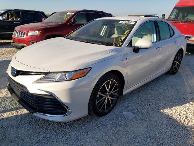 2021 TOYOTA CAMRY XLE VIN: 4T1F31AK8MU025794