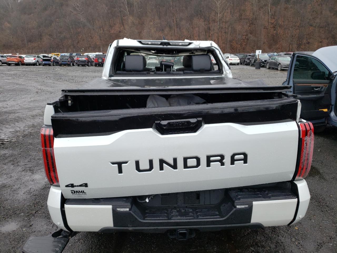 2022 TOYOTA TUNDRA CREWMAX PLATINUM VIN:5TFNC5DB6NX007670