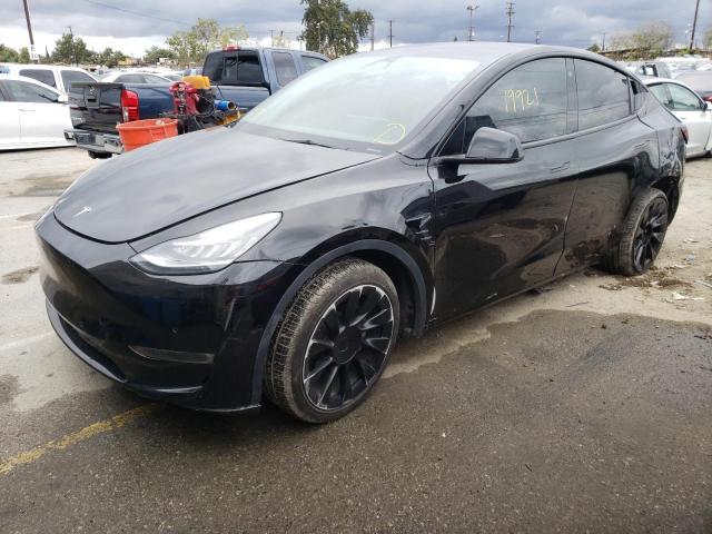 2021 TESLA MODEL Y VIN: 5YJYGDED1MF115179