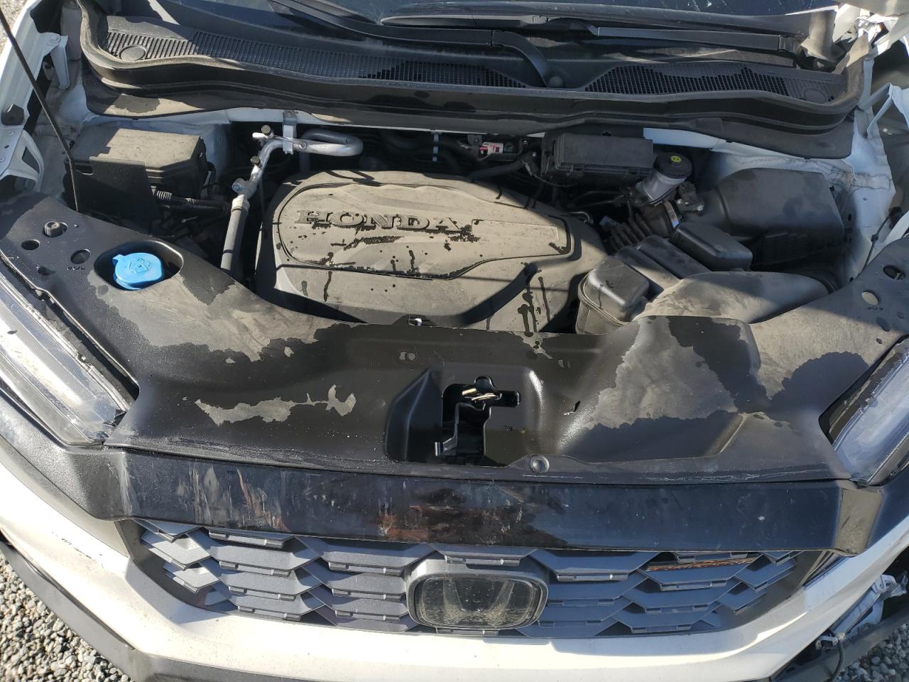 2022 HONDA PASSPORT TRAIL SPORT VIN:5FNYF8H60NB014983