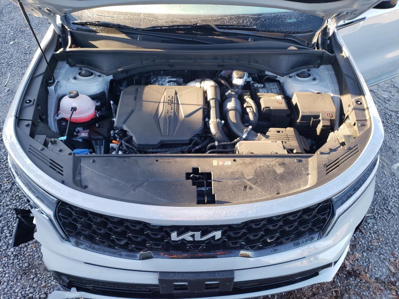 2023 KIA SORENTO SX VIN:5XYRKDLFXPG199782