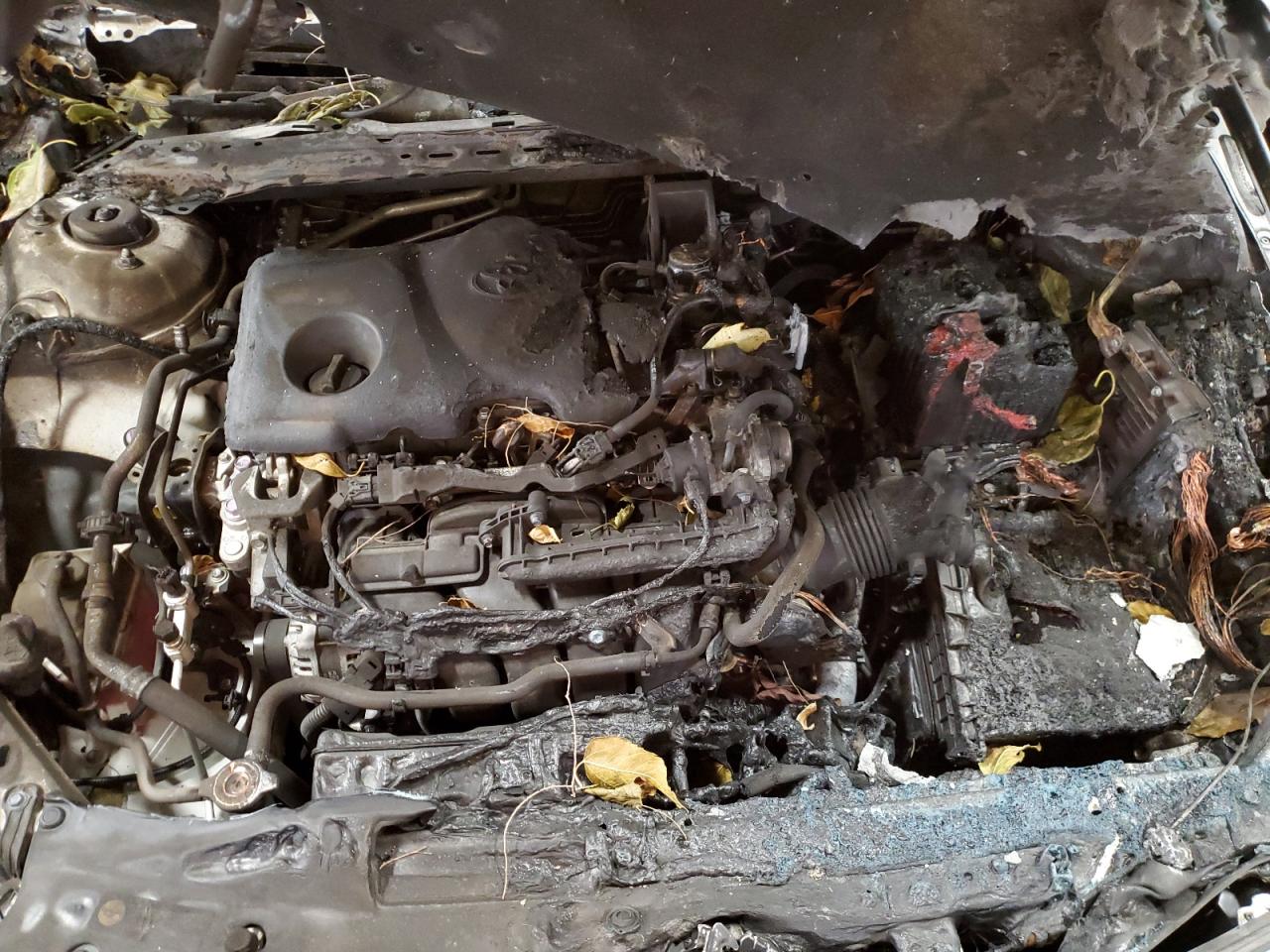 2022 TOYOTA CAMRY XSE VIN:4T1K61BK9NU063024