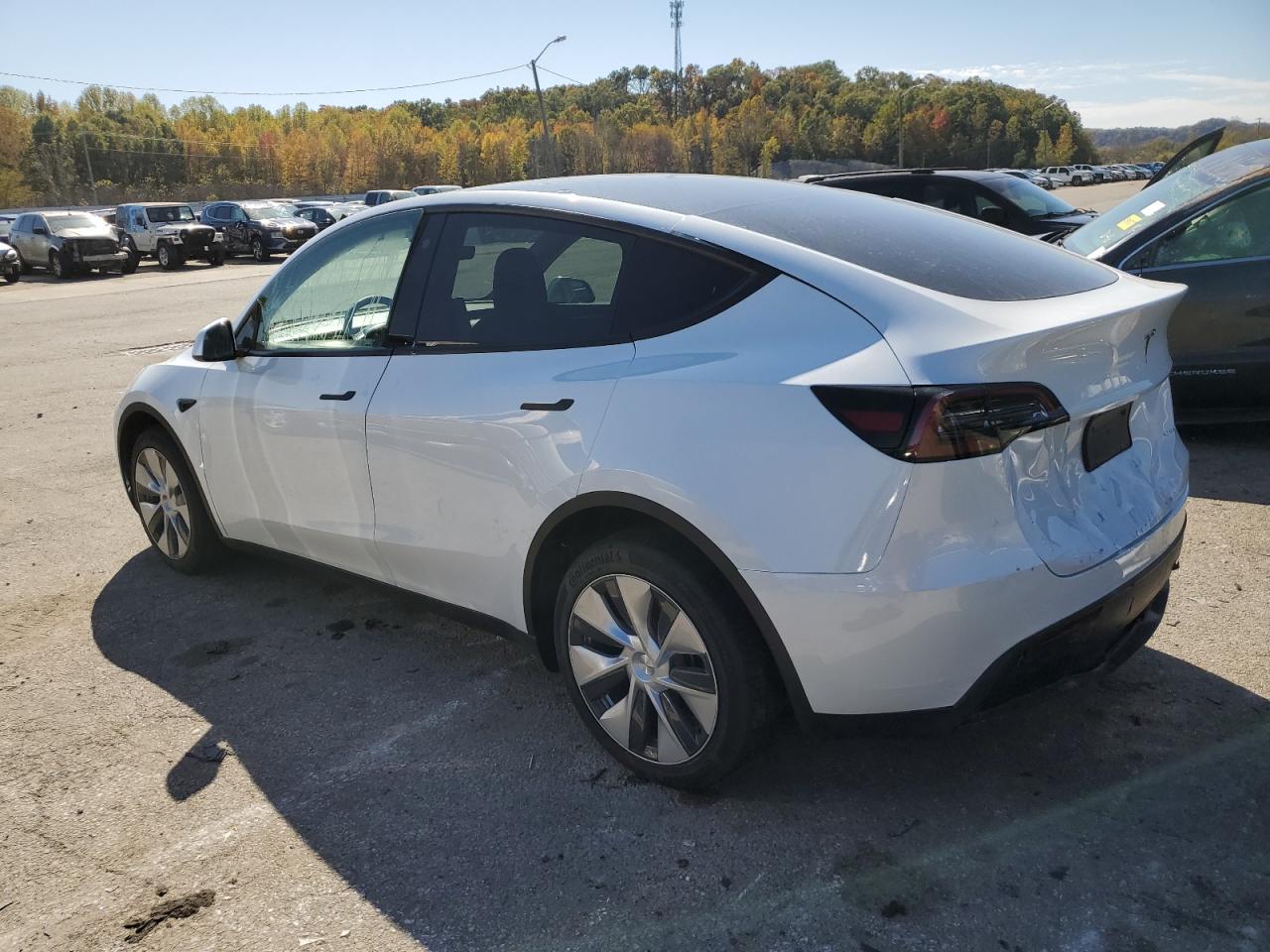 2023 TESLA MODEL Y  VIN:7SAYGDEE8PF668783