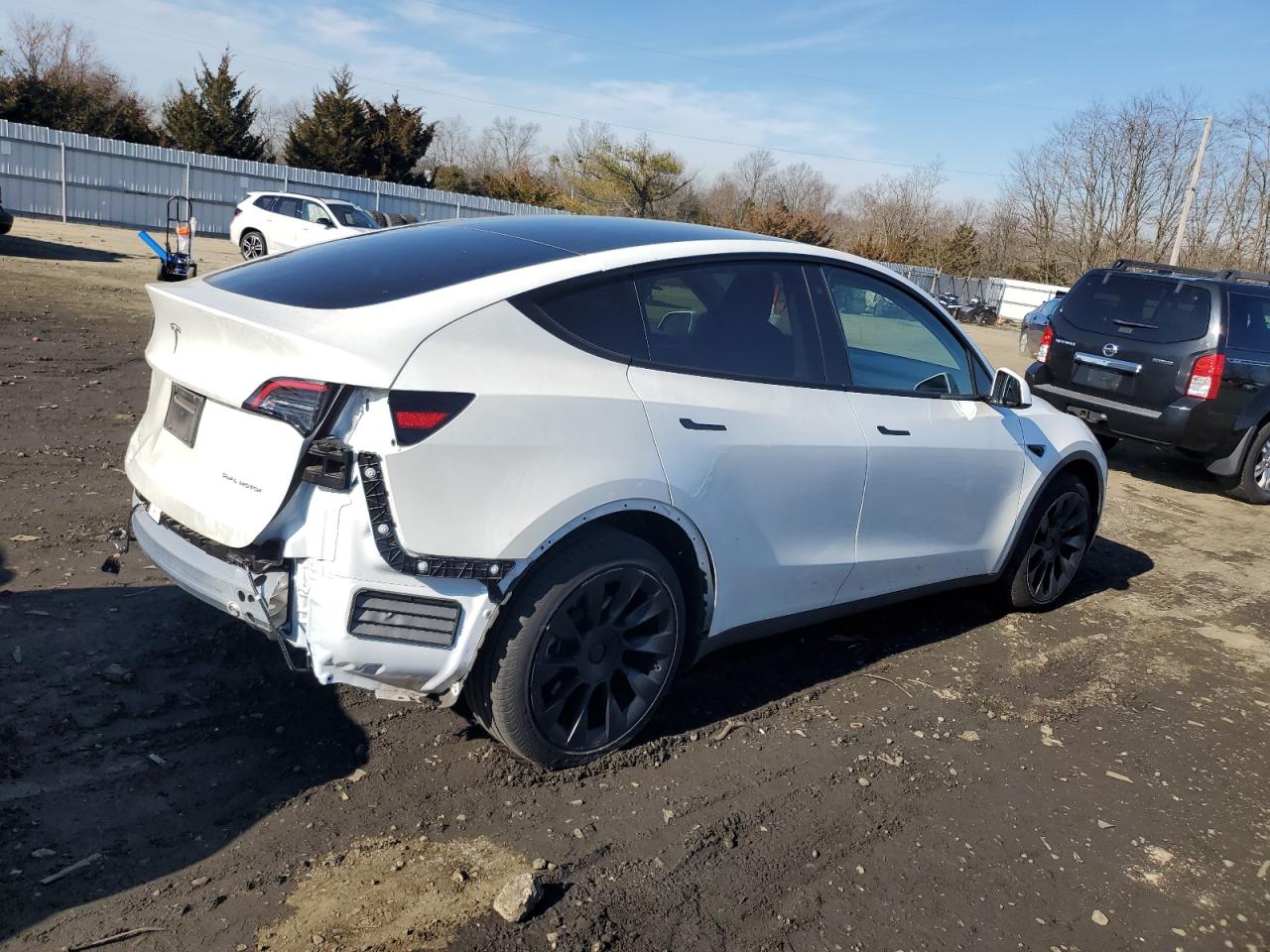 2023 TESLA MODEL Y  VIN:7SAYGDEEXPF758551