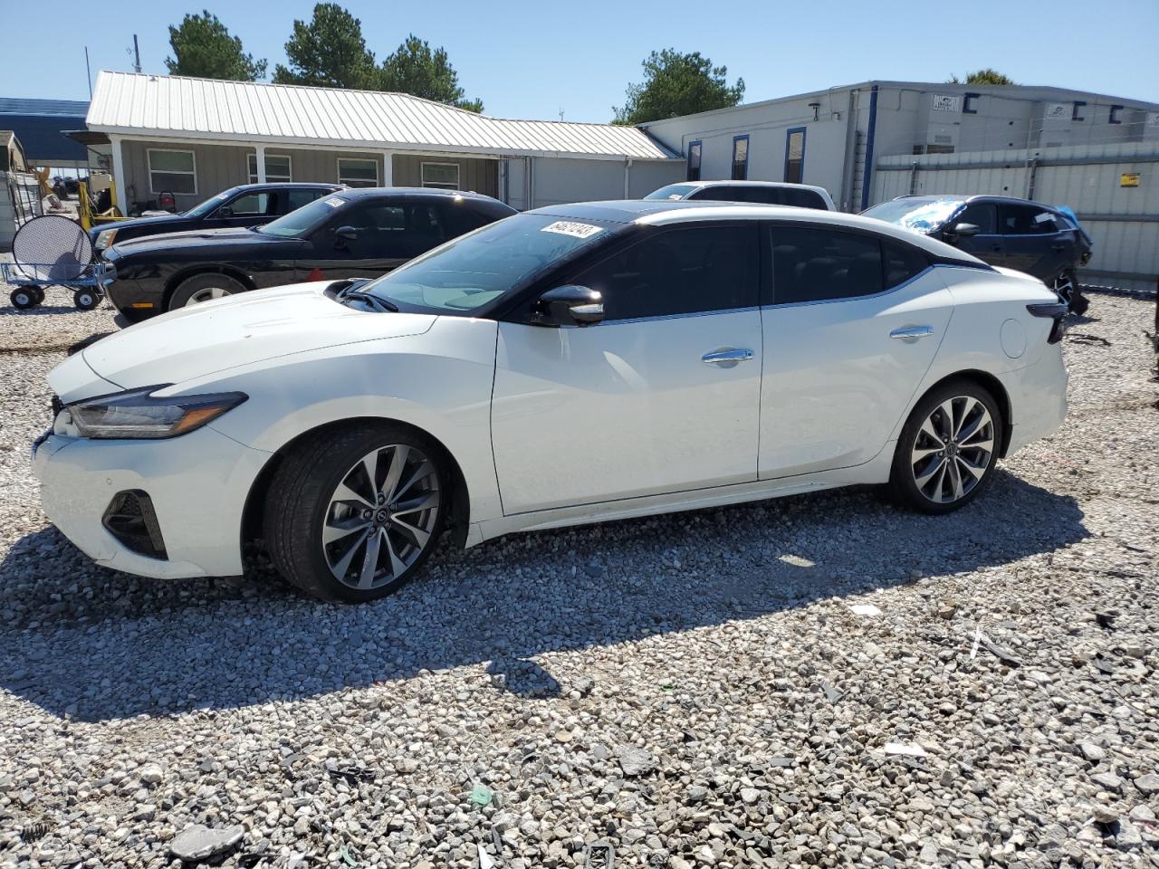 2023 NISSAN MAXIMA PLATINUM VIN:1N4AA6FV0PC503548