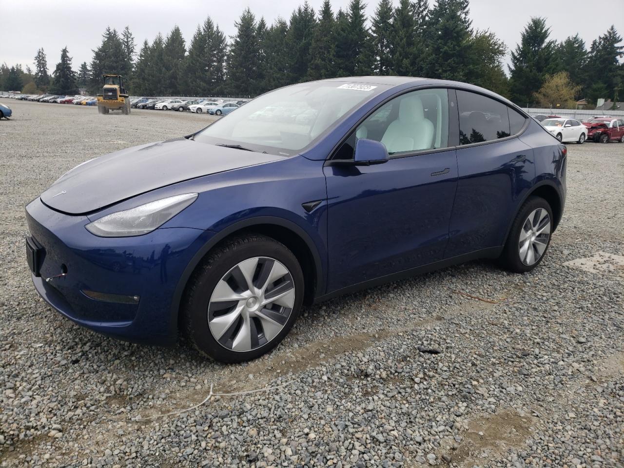 2023 TESLA MODEL Y  VIN:7SAYGDEE5PF842485