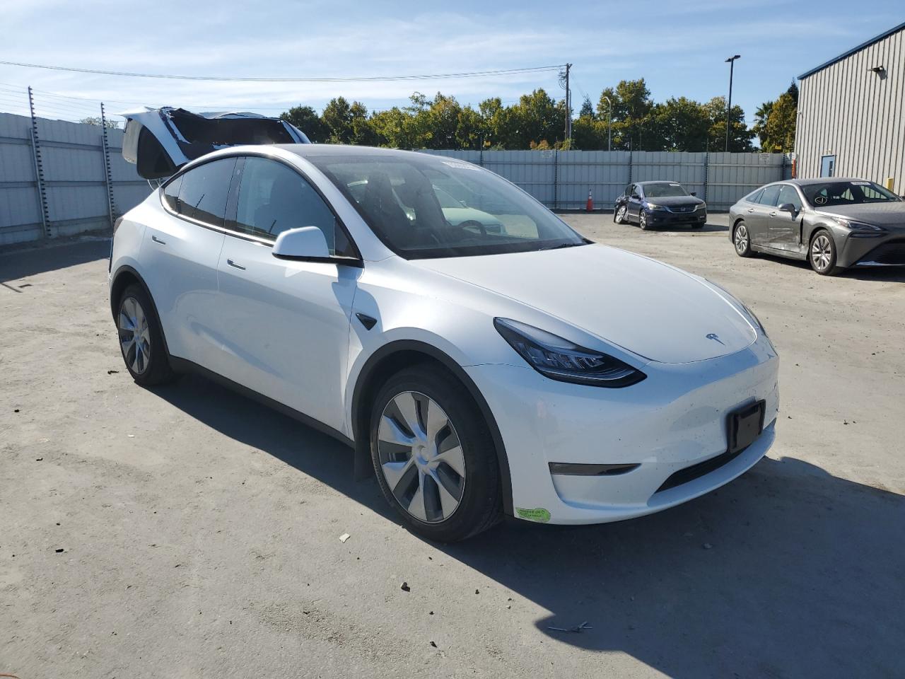 2023 TESLA MODEL Y  VIN:7SAYGDEE1PF618534