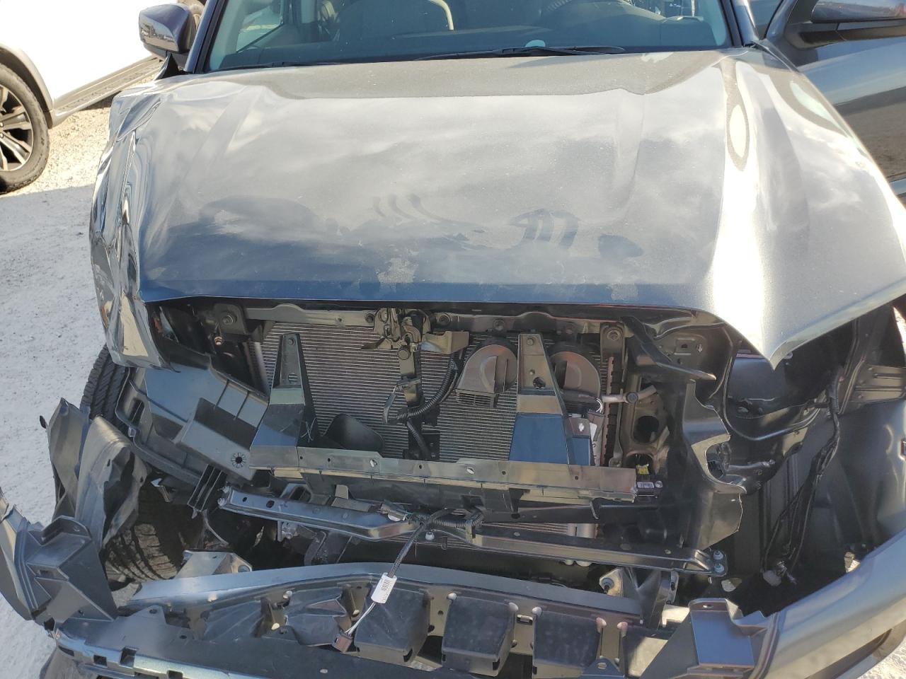 2023 TOYOTA TACOMA DOUBLE CAB VIN:3TMCZ5AN1PM598455