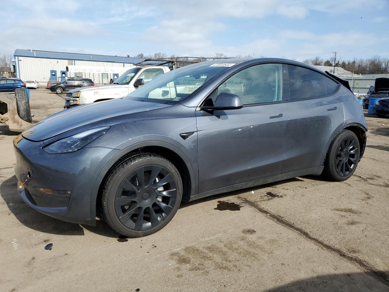 2023 TESLA MODEL Y  VIN:7SAYGAEE3PF635074