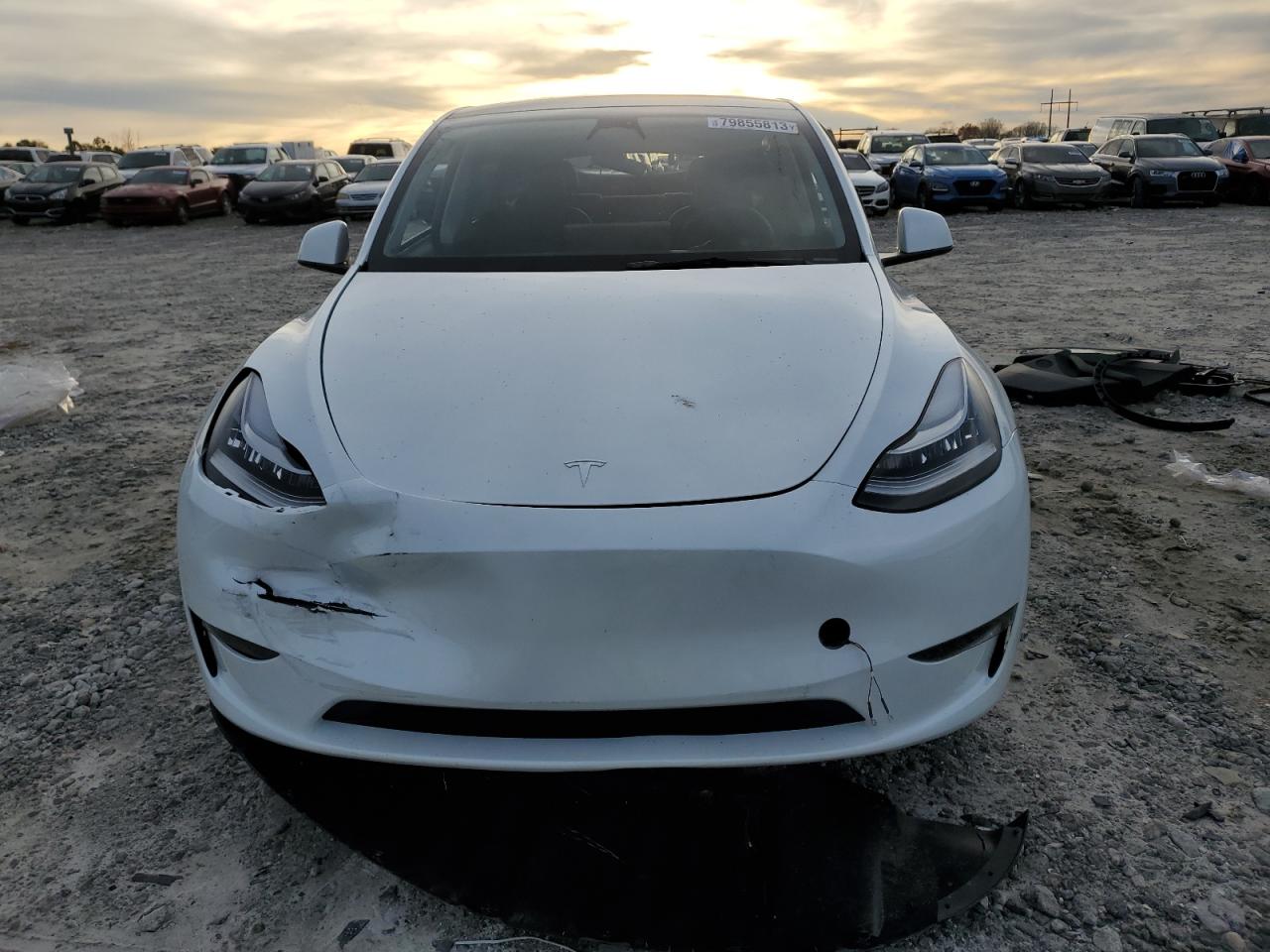 2023 TESLA MODEL Y  VIN:7SAYGDEE2PA097482