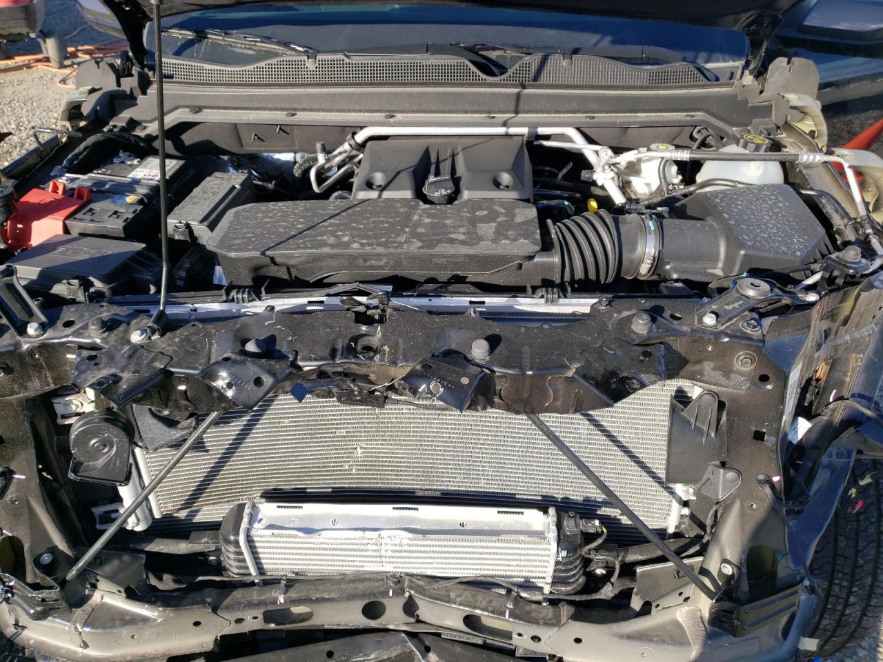 2023 CHEVROLET COLORADO LT VIN:1GCPSCEK7P1141303