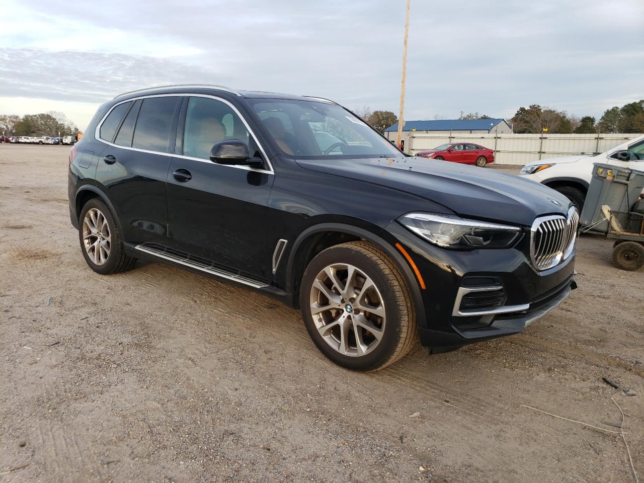 2023 BMW X5 SDRIVE 40I VIN:5UXCR4C06P9P08148