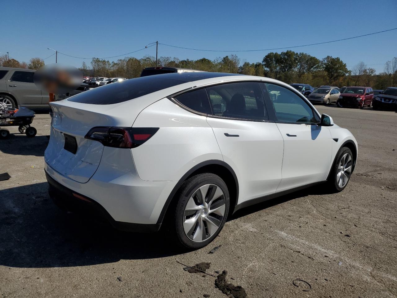 2023 TESLA MODEL Y  VIN:7SAYGDEE8PF668783