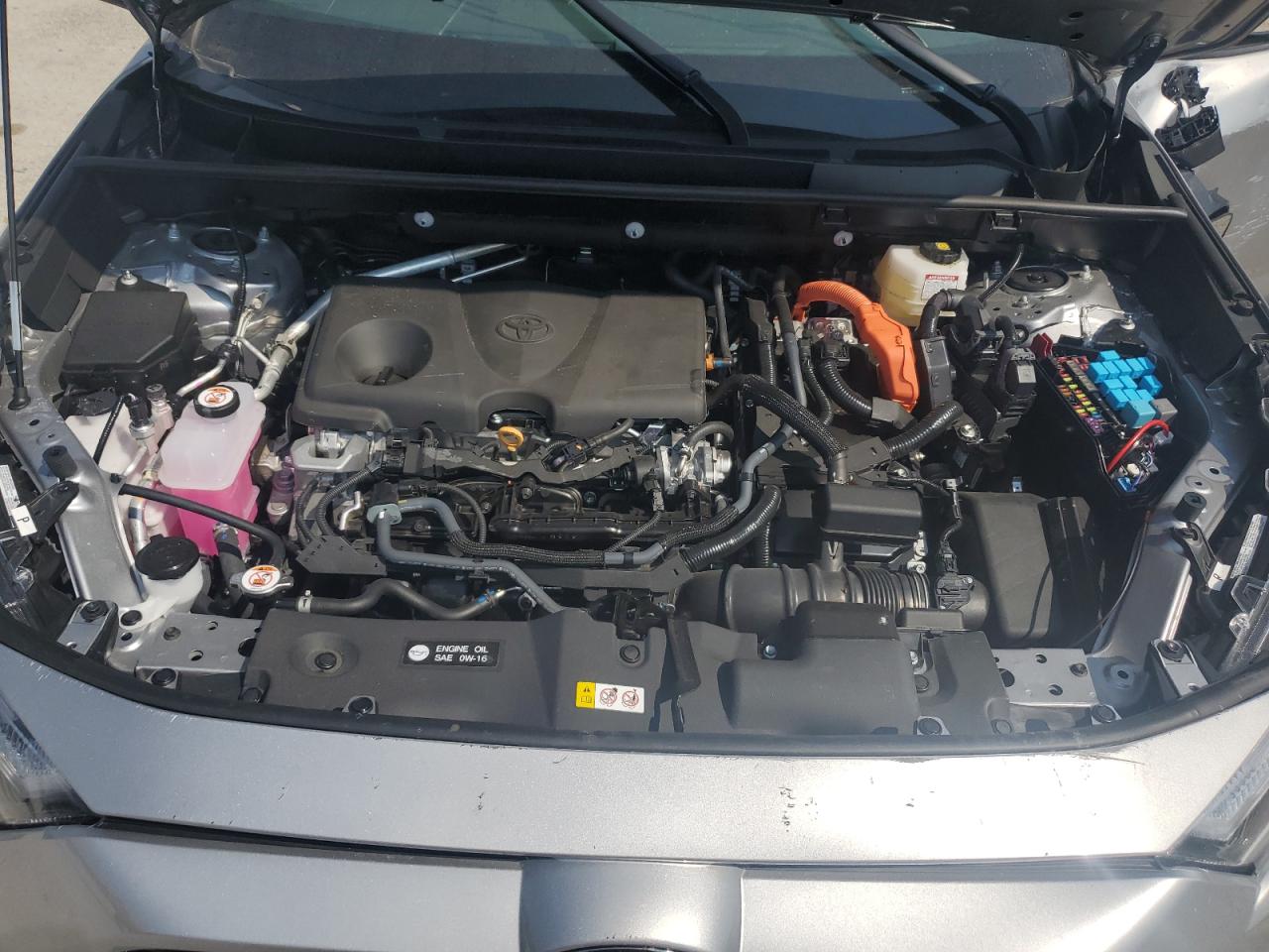 2023 TOYOTA RAV4 XSE VIN:4T3E6RFV9PU126133