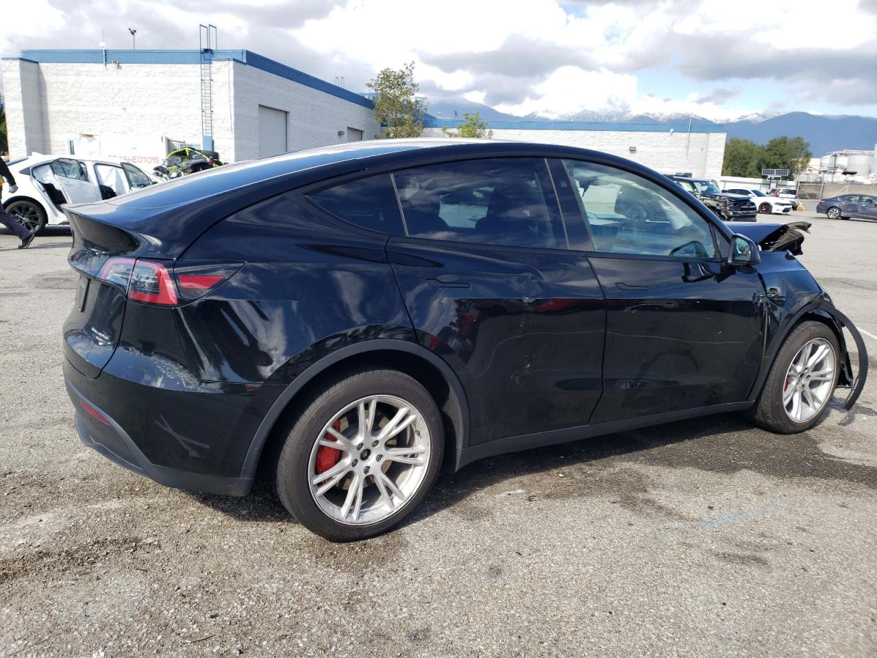 2023 TESLA MODEL Y  VIN:7SAYGDEE8PF840262