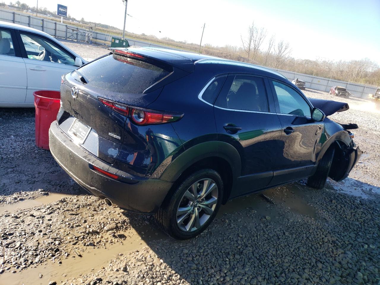 2023 MAZDA CX-30 PREMIUM VIN:3MVDMBDM7PM534861