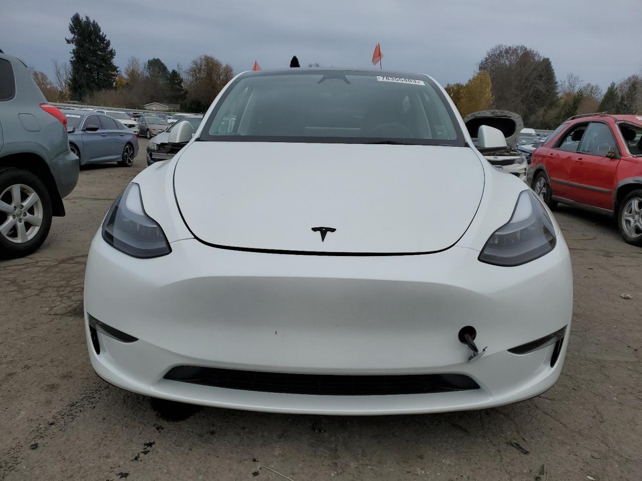 2023 TESLA MODEL Y  VIN:7SAYGDEF8PF812731