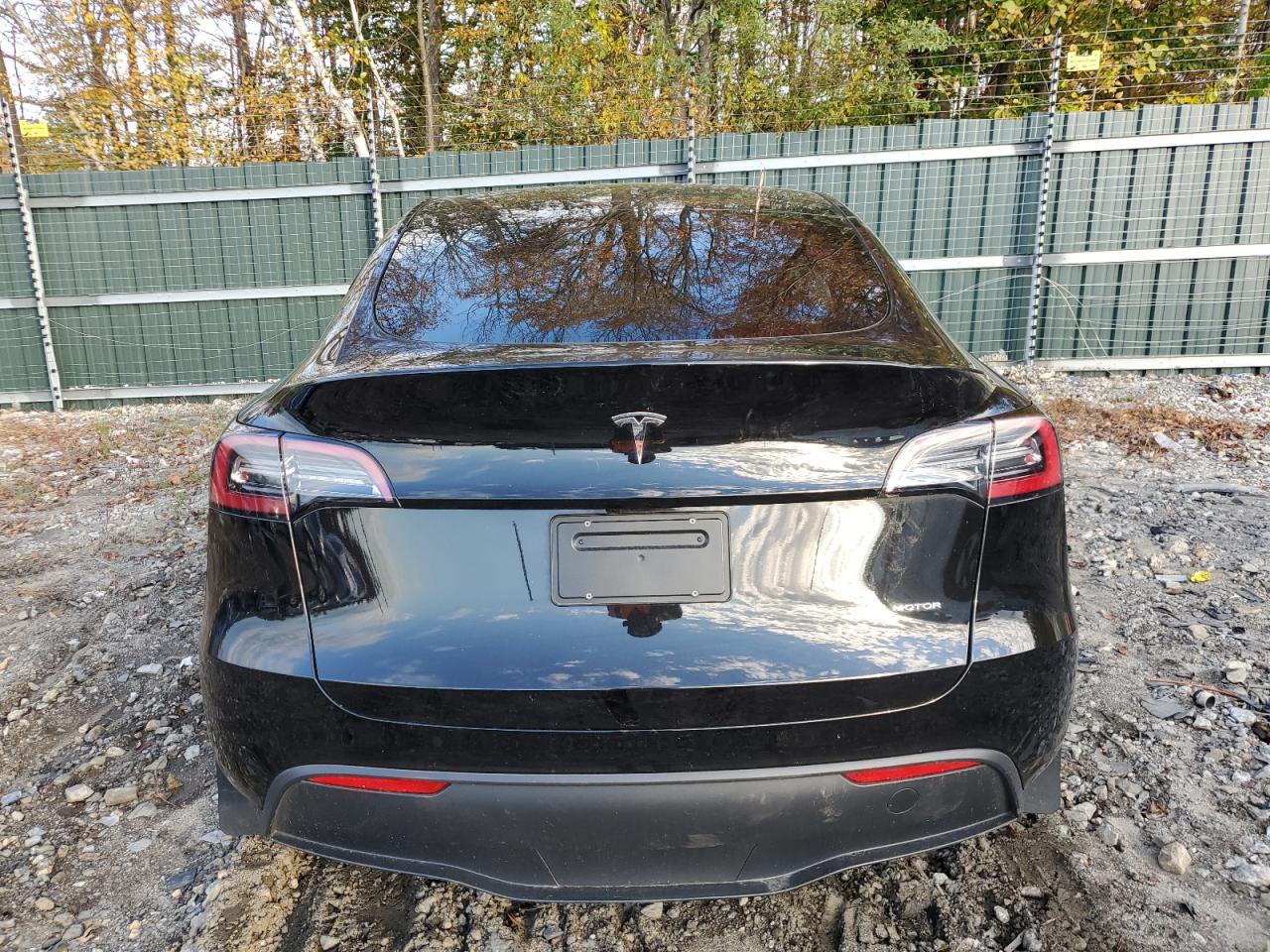 2023 TESLA MODEL Y  VIN:7SAYGDEE9PA100359