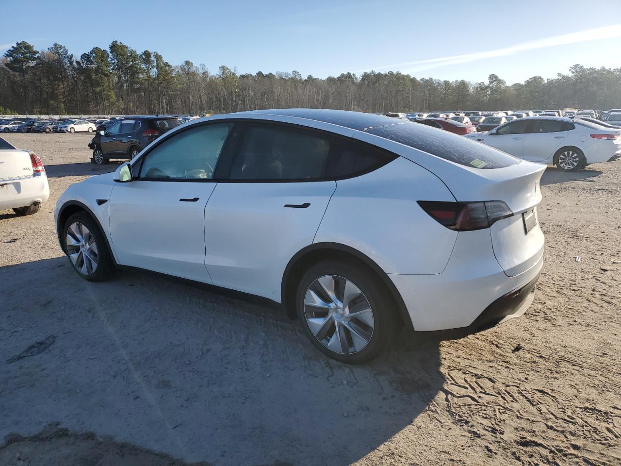 2023 TESLA MODEL Y  VIN:7SAYGDEE9PA093669