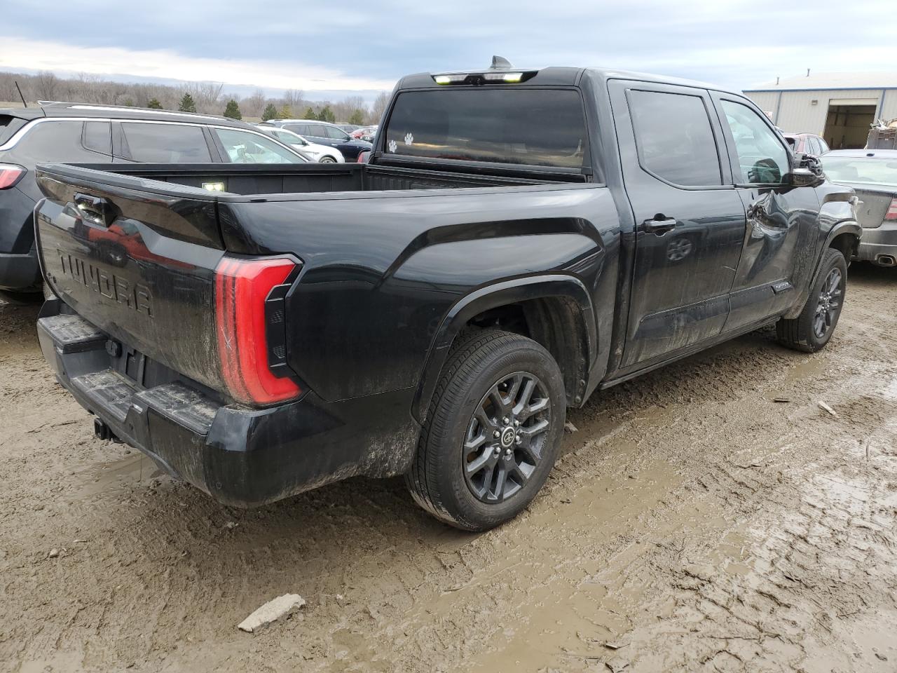 2023 TOYOTA TUNDRA CREWMAX PLATINUM VIN:5TFNA5DB9PX084932