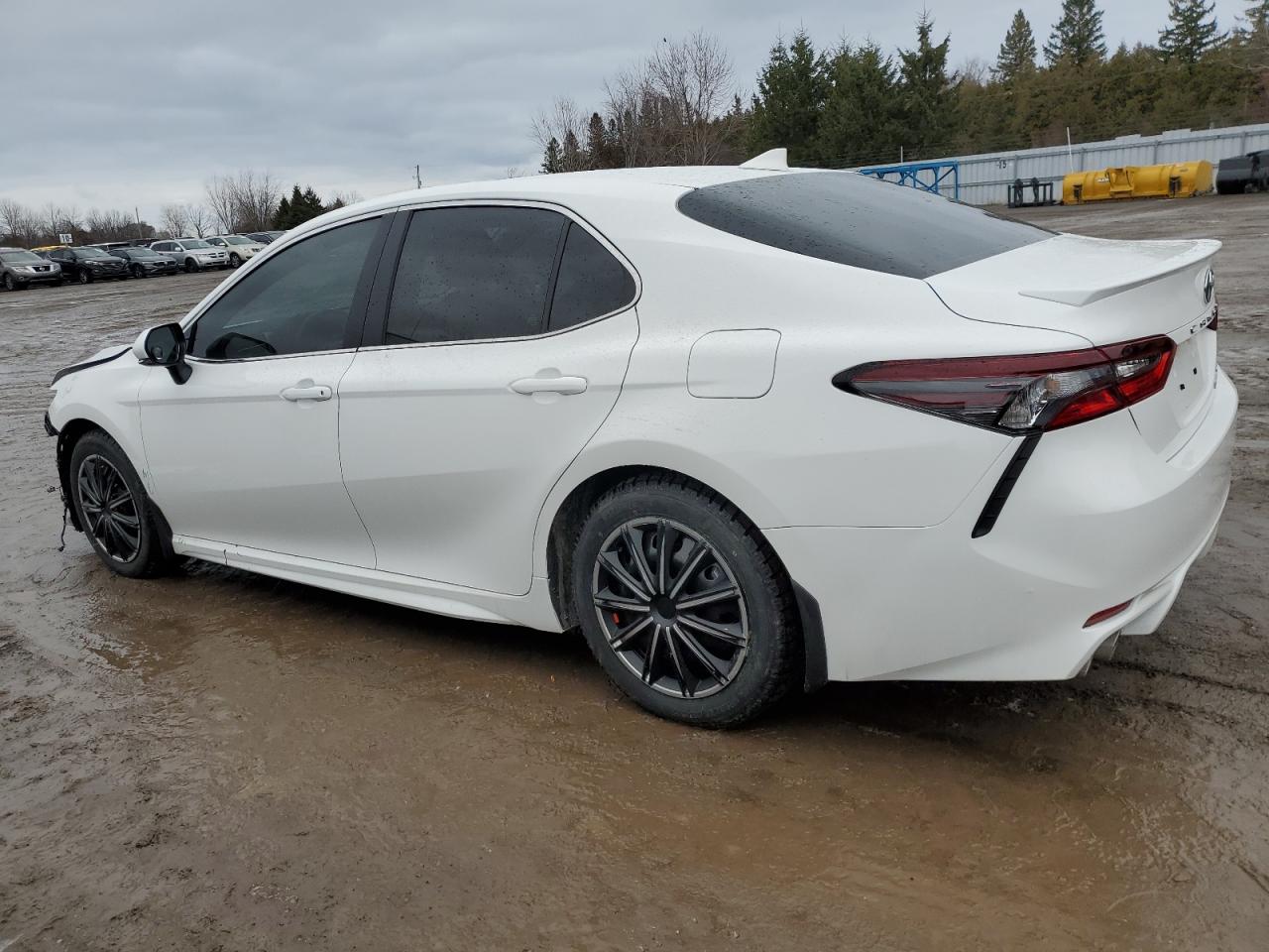 2023 TOYOTA CAMRY XLE VIN:4T1B21HK1PU019699