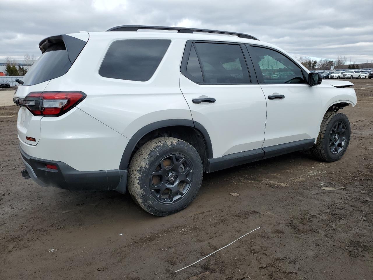 2023 HONDA PILOT TRAILSPORT VIN:5FNYG1H64PB502177