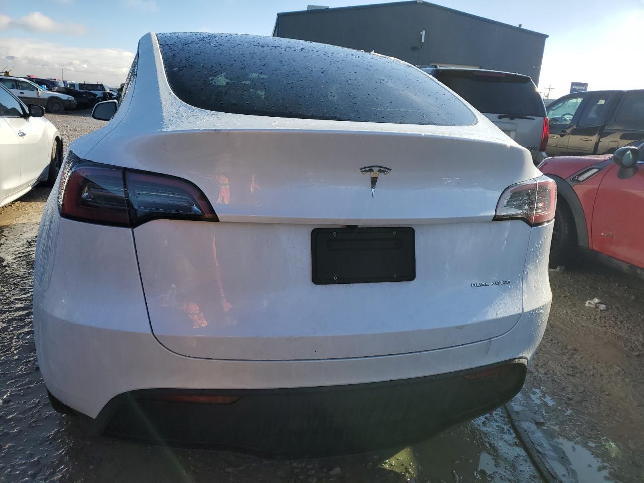 2023 TESLA MODEL Y  VIN:7SAYGDEE7PA149897