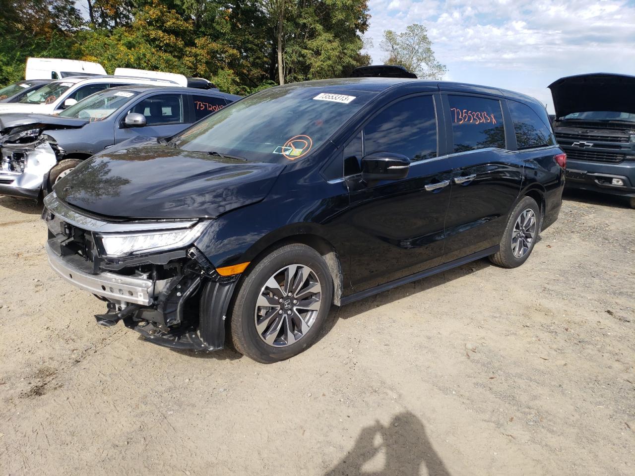 2023 HONDA ODYSSEY EXL VIN:5FNRL6H62PB015637