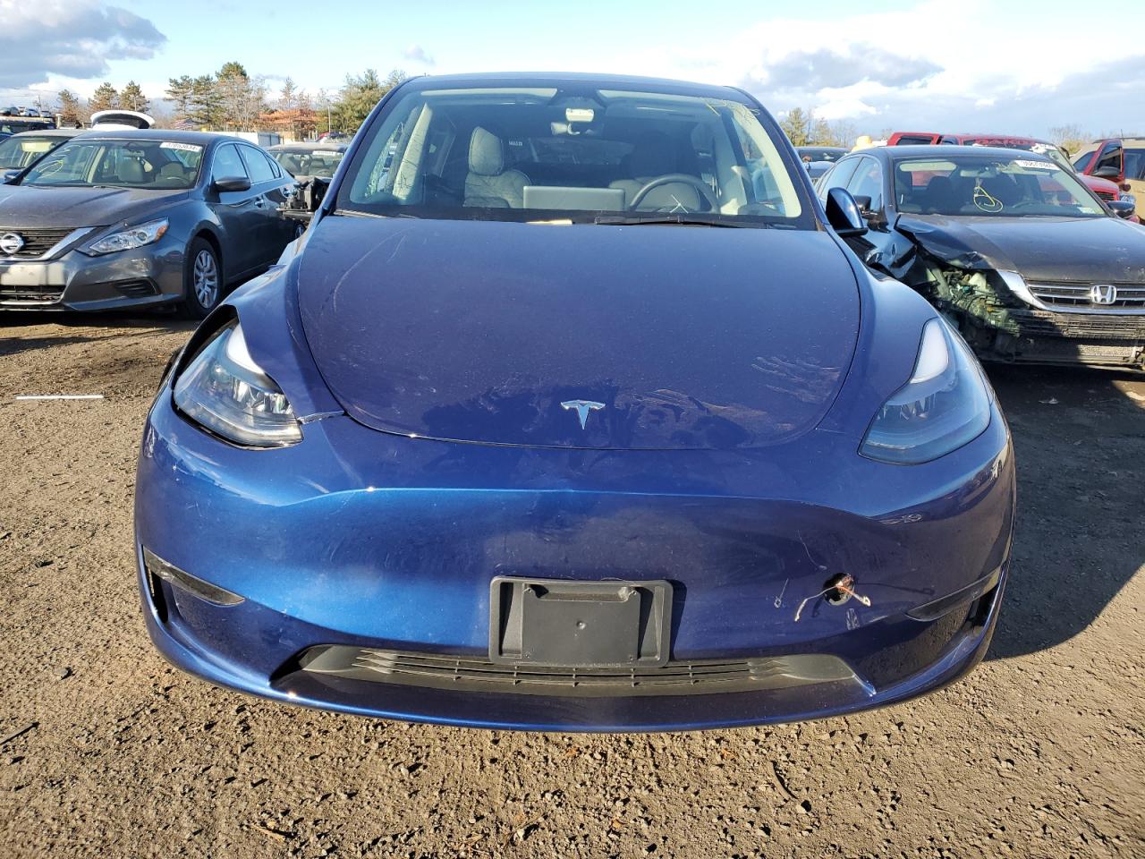 2023 TESLA MODEL Y  VIN:7SAYGDEE7PF793435