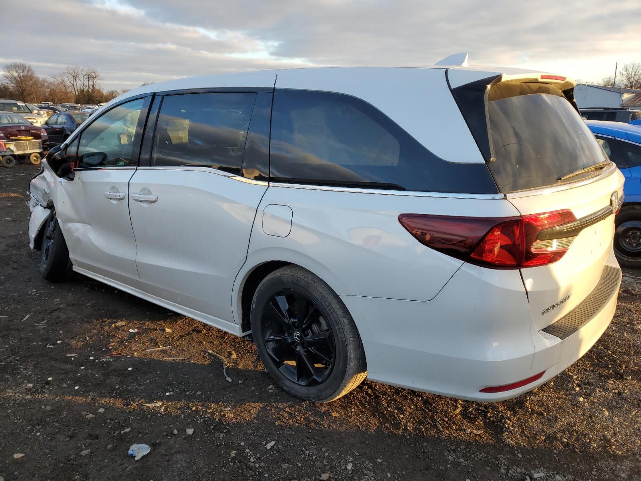 2023 HONDA ODYSSEY SPORT-L VIN:5FNRL6H73PB006549