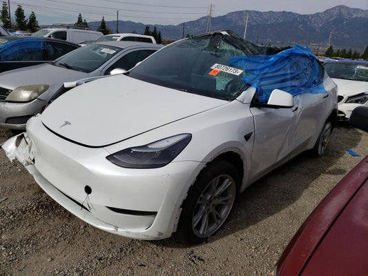 2023 TESLA MODEL Y  VIN:7SAYGDEE8PF636710